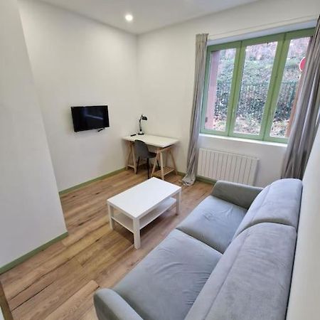 T1 Bis 1 Chambre Saint-Etienne  Extérieur photo