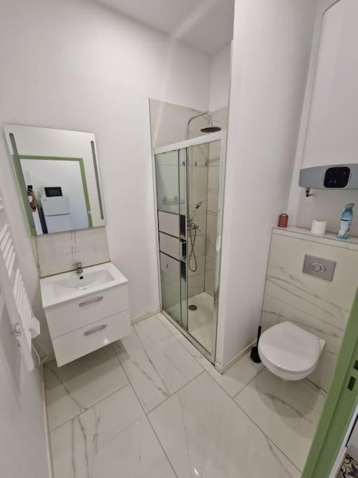 T1 Bis 1 Chambre Saint-Etienne  Extérieur photo